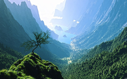 505146 (a): :1280x800